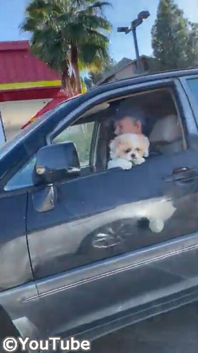 �繥���ʥܡ����ȩ��Υ�������äƤ������Ĥޤ�������ब03