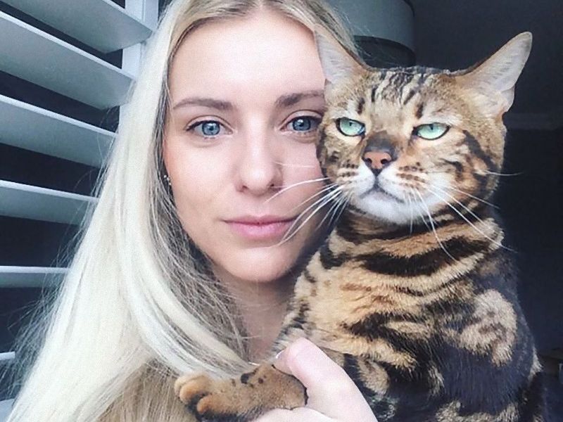 猫 正直つらい 飼い主の自撮りにしぶしぶ付き合わされた写真いろいろ らばq 猫 正直つらい 飼い主の自撮りにしぶしぶ付き合わされた写真いろいろ らばq
