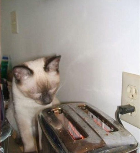 ������������1����18