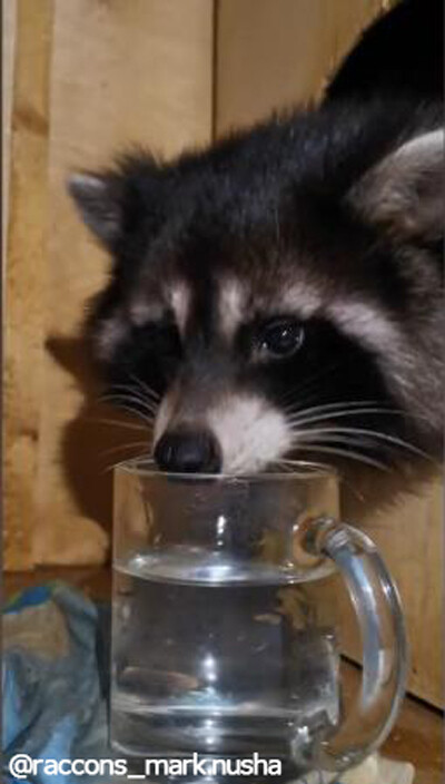 ȤĸŪʤˤʤäƤޤ饤01