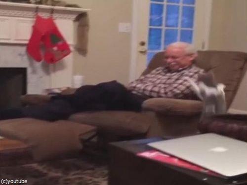 猫の前で死んだふりをしてたら…04