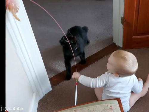 ǭ������֤����02