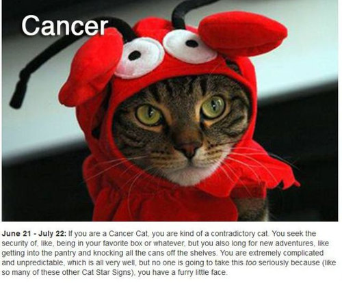 ǭ��12�����ꤤ04