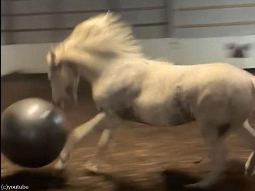 �Ϥȥ������������ܡ���04