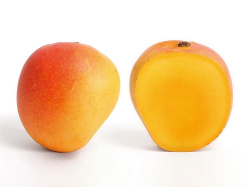 �ޥ󥴡������ʶ��Ƥ���Ǥ���Τϡ�00