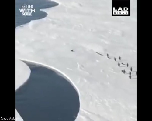 줫Ϥڥ󥮥ĥϥϥ餹ư04