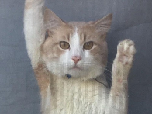 ���𤷤���ǭ���Ԥ������Ƥ���02