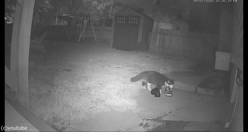 ��ť����ǭ��GPS���դ��Ƥߤ�04