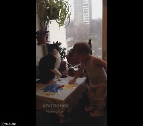 猫パンチ対決04