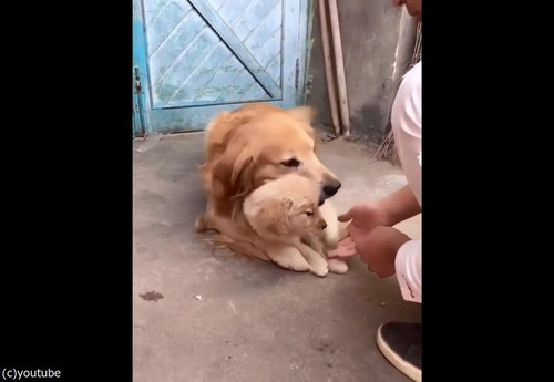 ���ݸ�ʸ�05