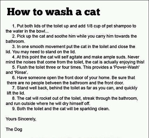 ǭ��������01