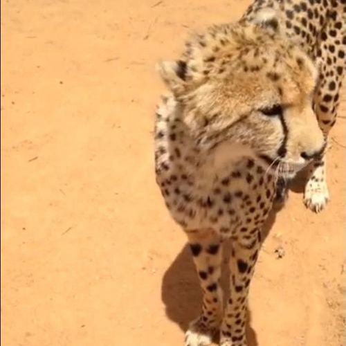 ����������ǭ�ʤ���03