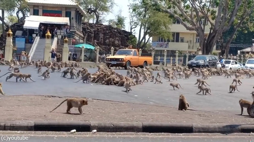 �����˽��01