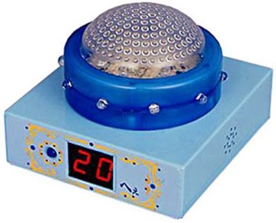 世界のトリビア集