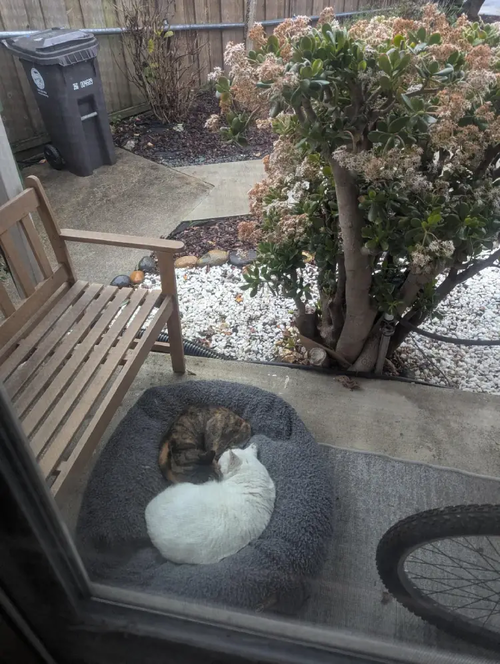 ˴���ʤä����ΰ��ѥ٥åɶ���ǭ����������01