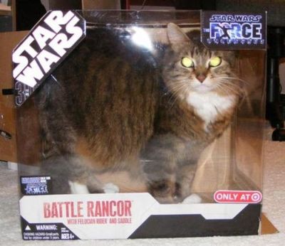 猫スターウォーズ05