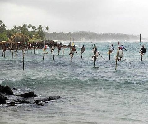 海の上に突き立てた棒にしがみついて釣りをする 風変わりなスリランカの伝統漁法 らばq 海の上に突き立てた棒にしがみついて釣りをする 風変わりなスリランカの伝統漁法 らばq