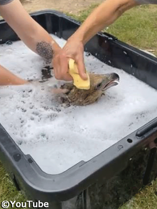 �亮��ˢ��Ϥ�����ȥ��å���02