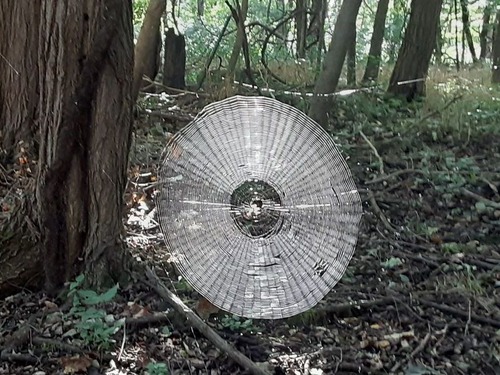 �ʹ֤���ä����ꤽ��������ʥ������01