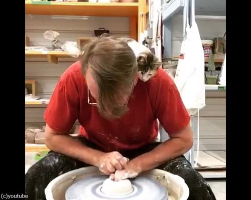 陶芸家の小さな助手02