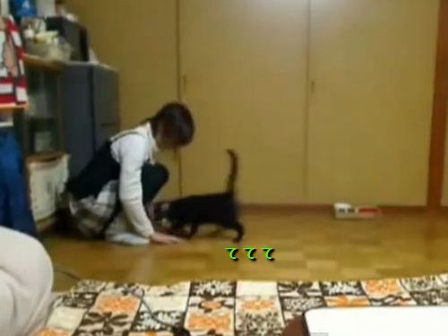 �Ѥ�ͷ������ǭ01