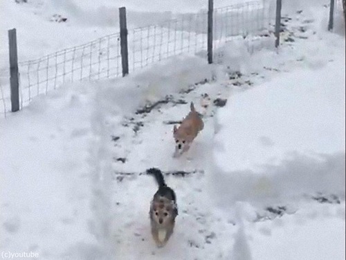 ��Ǹ��Υ졼����02