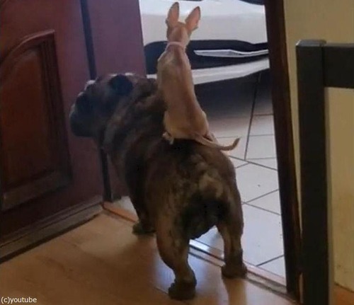 �����֥�ɥå��ξ�˾��01