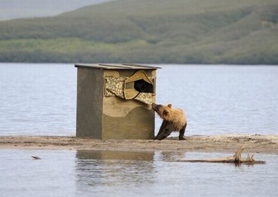 ����ưʪ�����ޥ�10