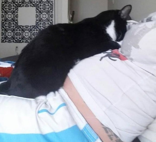 お腹にいるときから私の赤ちゃんを守ってくれた猫 ついに対面の日を迎えて 愛でいっぱいの写真 らばq お腹にいるときから私の赤ちゃんを守ってくれた猫 ついに対面の日を迎えて 愛でいっぱいの写真 らばq