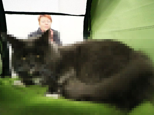 ¥¦¥¯¥é¥¤¥Ê¤Î¤Ç¤Ã¤«¤¤Ç¥³¥ó¥Æ¥¹¥È00