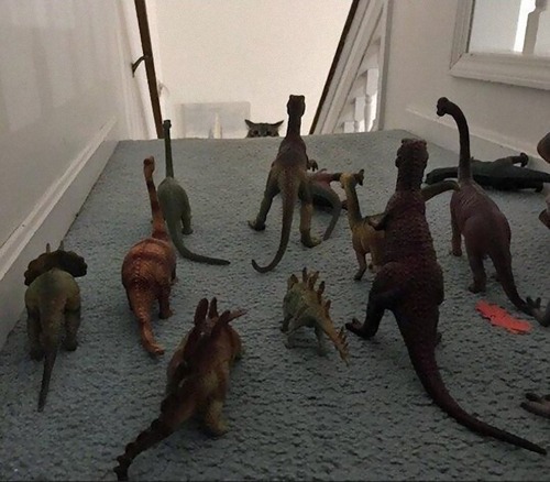 ǭ��2���˾夲�ʤ���ˡ01