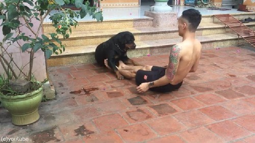 �����θ��ϡĶڥȥ�Τ��������򤷤Ƥ����02