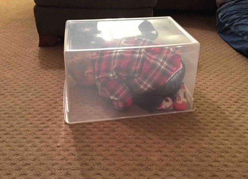 子供とかくれんぼ04