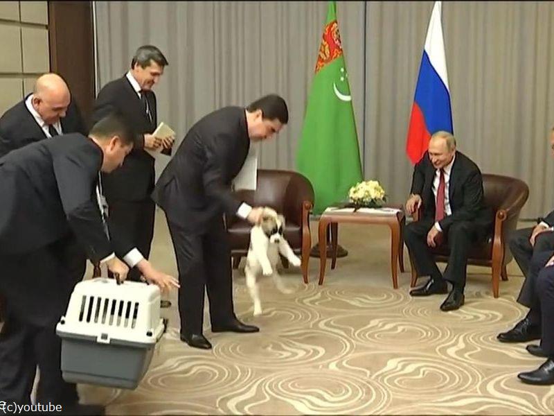 プーチン大統領でさえ 犬の正しい抱き方は知っている らばq プーチン大統領でさえ 犬の正しい抱き方は知っている らばq