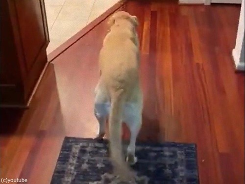�ե�����󥰤����ʸ�04