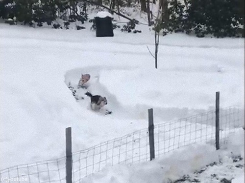 ��Ǹ��Υ졼����01