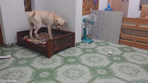 �Ҹ��򤷤������Ȥ����顢�Ƹ������04