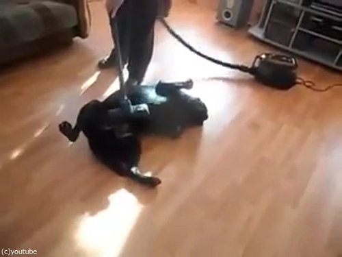 �ݽ�����֤ʸ�07