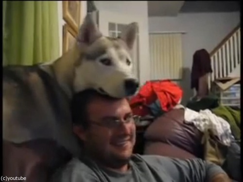 ����Ƭ�ξ�˴��褻�Ƥ���ȤǤ���ͷ��04