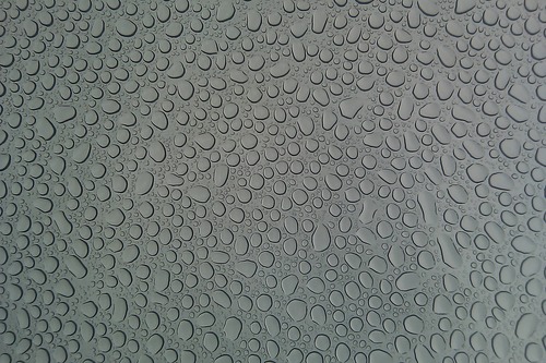 携帯カメラ撮影02