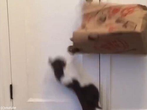 5�ͤλ�����˸��ΤƤ�줿ǭ07