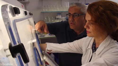 古代エジプトのビールの味03