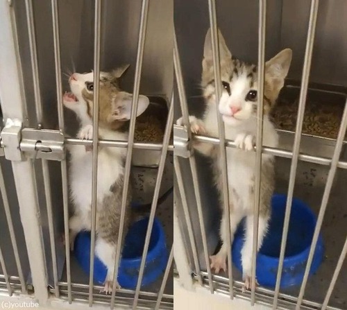 ��������ݸ���ߤˤ�����Ĥ���ǭ��Ϣ��Ƶ��ä�03