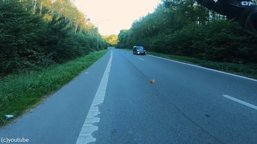 ��®ƻϩ�ǻ�ǭ��߽�03