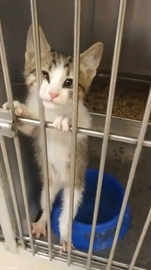 ��������ݸ���ߤˤ�����Ĥ���ǭ��Ϣ��Ƶ��ä�04