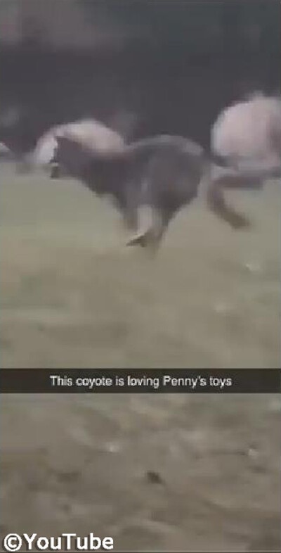 ��äѤ긤�ʤ���ʡ� �����Τ�������ͷ�������Υ��衼��02