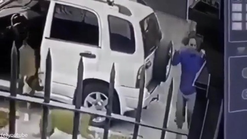 ボクサー犬、飼い主さんを襲った強盗を撃退03