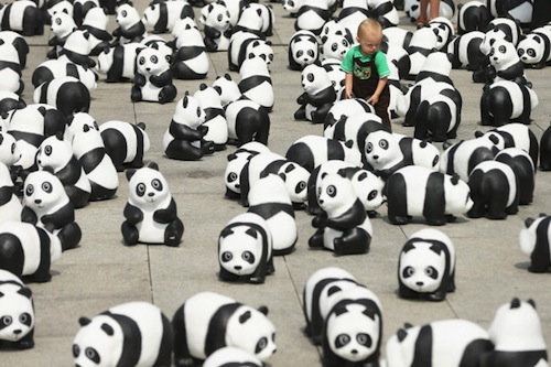 パンダ1600体03