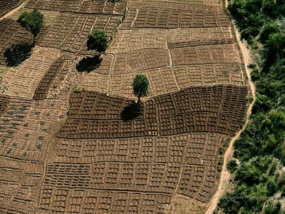 物の見方が変わる、世界中を見下ろした写真05