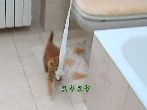 �ȥ���åȥڡ��ѡ������ĥ���ǭ00